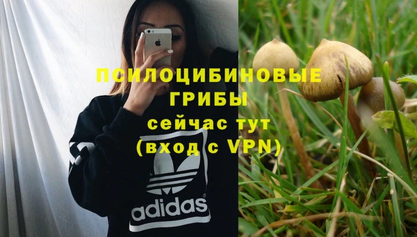 герыч Кинешма